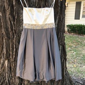 Silk Strapless Dress